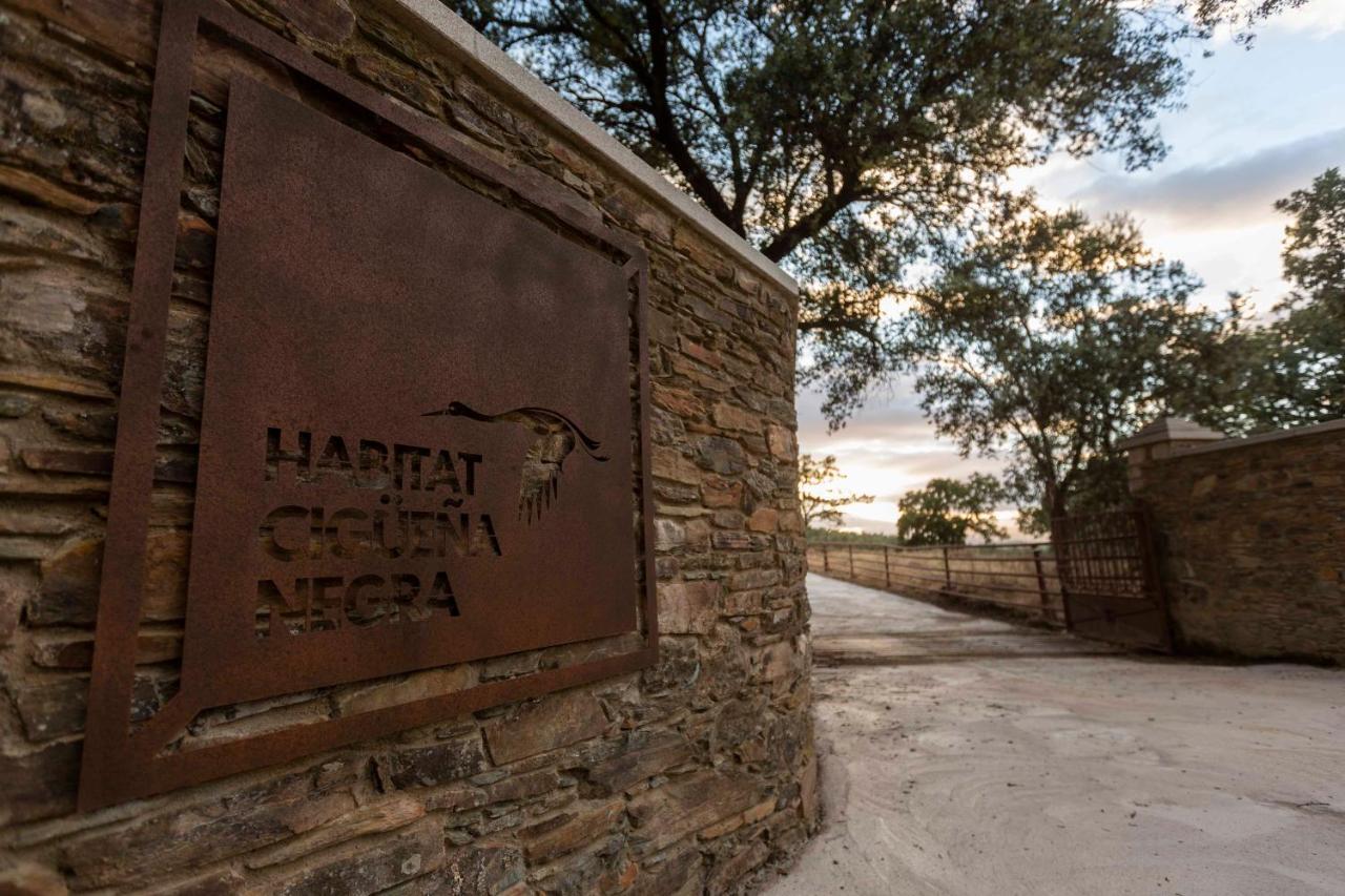 Habitat Cigueena Negra فالفيردي ديل فريسنو المظهر الخارجي الصورة